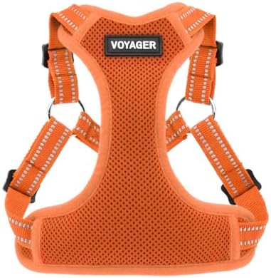 Voyager Step-in Flex Adjustable Dog Harness - Orange, Large