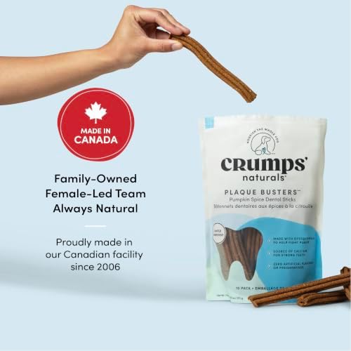 Crumps' Naturals Pumpkin Spice Plaque Busters 7" - 8 Pack