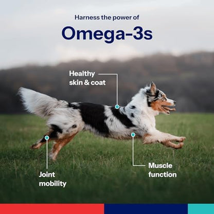 Covetrus Omega-3 Soft Gels for Medium Dogs – Essential Fatty Acids with Vitamins A, E & D3 – Skin, Coat & Joint Supplement – 60 Count