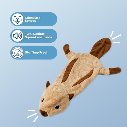 Best Pet Supplies 2-in-1 Stuffless Squeaky Dog Toy - Squirrel, Small