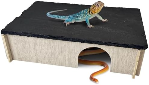 PINVNBY Bearded Dragon Basking Platform, Wood Reptile Hides and Caves, Crested Gecko Hide with Slate Rock, Leopard Gecko Tank Accessories for Small Lizard Snake (M: 9.84x5.9x2.76 inches)