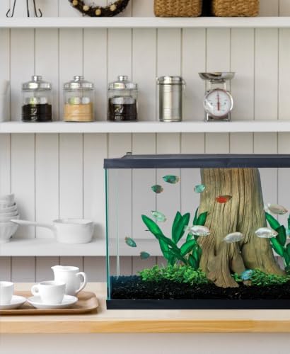 Tetra 29 Gallon Glass Aquarium, Rectangular Fish Tank