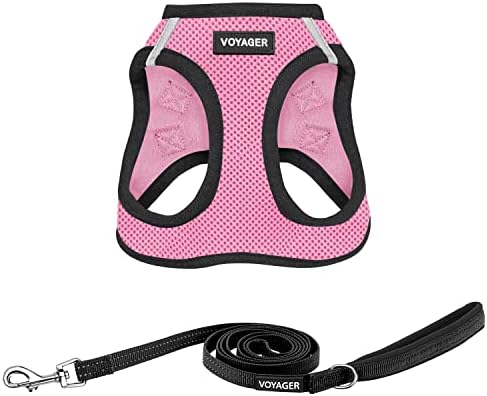 Best Pet Supplies Voyager Step-in Air All Weather Mesh Harness and Reflective Dog 5ft Leash Combo with Neoprene Handle, for Small, Medium and Large Breed Puppies - Pink Base, Medium
