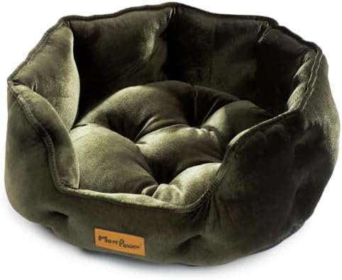 Olive Green Cat Bed for Indoor Cats, Removable Cushion Bed