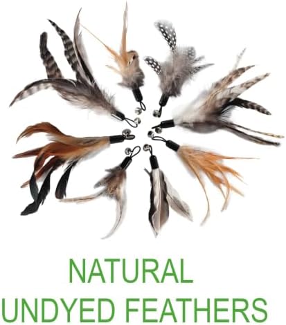 Cat Toys - No Chemical Dyeing Cat Feather Toys for Indoor Cats - Include Cat Wand and Natural Feather Refills