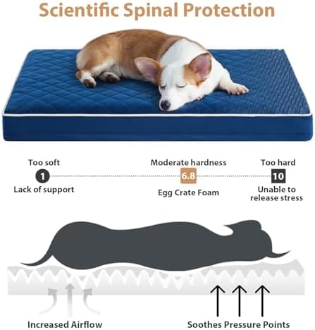 WNPETHOME Orthopedic XXL Dog Beds for Large Senior Dog Bed Comfy Sleeping