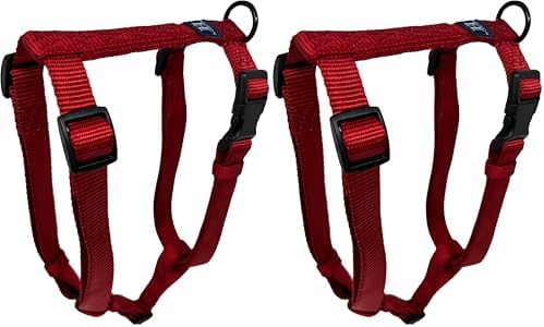 Hamilton Adjustable Nylon Dog Harness, X Small 3/8" x 10-16", Red (2 Pack)