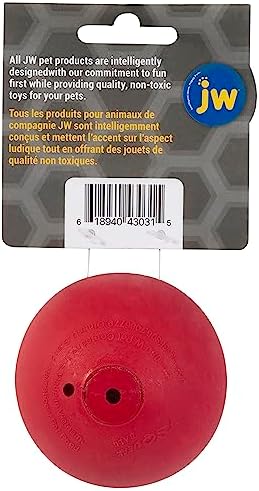JW iSqueak Ball Durable Natural Rubber Dog Toy (Assorted Colors)