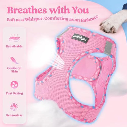 rabbitgoo Dog Harness Medium Sized and Leash Set, Step-in Puppy Pet Vest