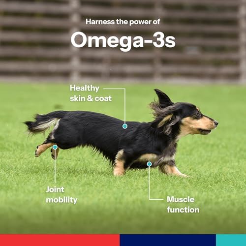 Covetrus Omega-3 Soft Gels for Cats & Small Dogs – Essential Fatty Acids with Vitamins A, E & D3 – Skin, Coat & Joint Supplement – 60 Count