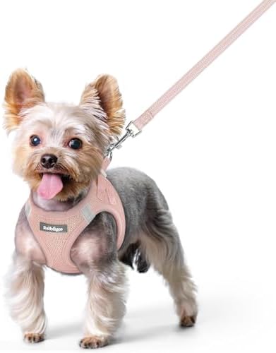 rabbitgoo Dog Harness Small Sized and Leash Set, Step-in Puppy Pet Vest