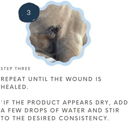 Wound Salve - For Horses, Pets, Livestock & People - Calendula, Shields Abrasions, Stops Infections, Promotes Scabbing, Reduces Inflammation & Scarring, Vet-Approved - Bev's Magic Salve (12 oz)