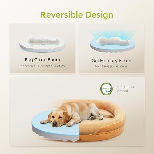 CWAWZ Jumbo Orthopedic Dog Bed, Big Dog Beds for Extra Large Sized Dogs with Full-Surround Bolsters, Dual-Sided Dog Cooling Bed with Memory Foam, Washable Pet Sofa Couch with Nonslip Bottom, Brown
