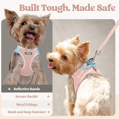 rabbitgoo Dog Harness Small Sized and Leash Set, Step-in Puppy Pet Vest