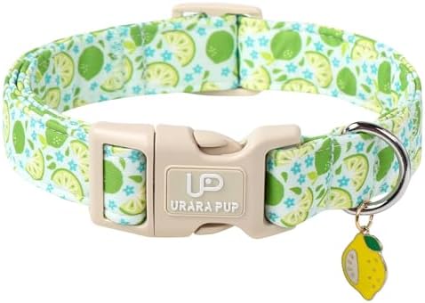 Summer Dog Collar-Refreshing Lime Pet Collars-Adjustable, Comfortable & Durable Puppy Collars for Small, Medium, Large Dogs