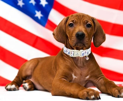 Lionheart glory American Flag Dog Collar, 4 of July Patriotic Independence Day Dog Collar Heavy Duty Adjustable Dog Collars for Small Dogs Pet Gift Summer Collars Dog Cute Collars