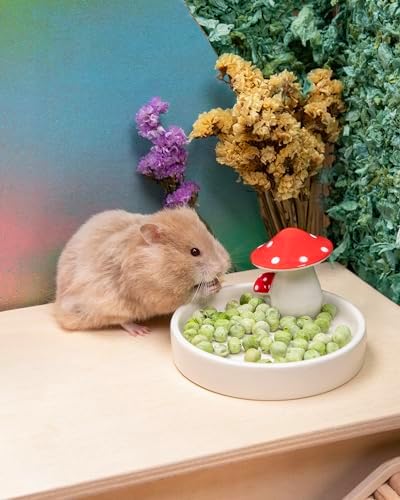 Niteangel Hamster Snack & Treats Toy - Freeze-Dried Pea & No Additive