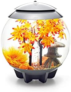biOrb Autumn Décor Set, Orange and Red, Themed Collection of Fish Friendly Aquarium Decorations
