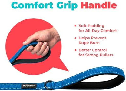 Best Pet Supplies Voyager Nylon Dog Leash - Royal Blue, Large
