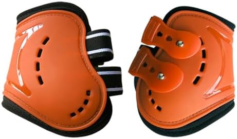 Horse Boots Open Front Jumping Tendon Sport Boots, Hind Fetlock Boots, Secure Leg Protection, Classic Breathable Equine Supplies, Set of 4