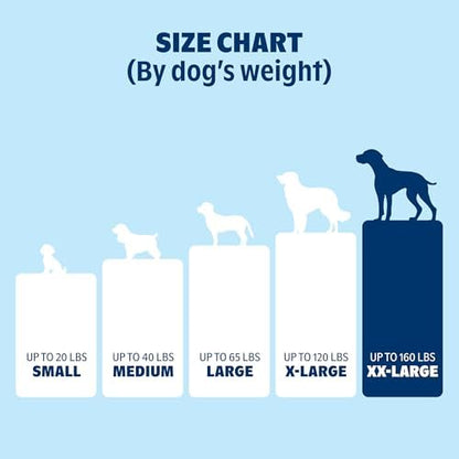 BarkBox Orthopedic Dog Bed - XXL