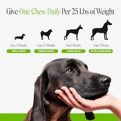 Pet Honesty Dog Probiotics Chews for Gut & Digestive Health, 180ct, Pumpkin