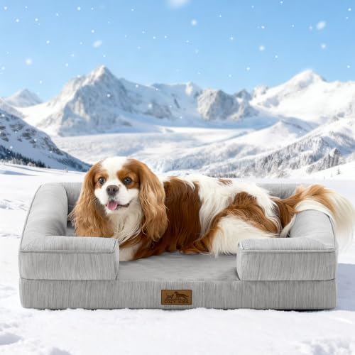 COZY KISS Orthopedic Dog Cooling Bed for Medium Small Dogs, 30x20 inch
