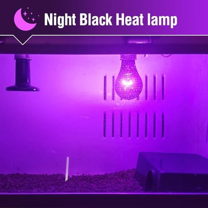 Leoterra Purple Moonlight Night Heat Lamp 2PACK 50W 10-20 Gallons Tank Use Heat Bulb for Lizard Bearded Dragon Leopard Snake Turtle,Easy to Install 2000+ Hours, Fits E26 110v
