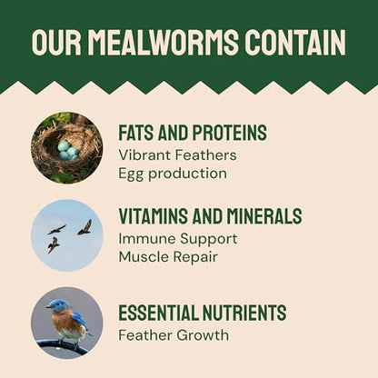 Hatortempt 2lb Dried Mealworms for Wild Birds & Chickens, Wild Bird Food