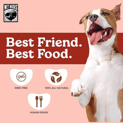 Wet Noses Organic Crunchy Dog Treats – All-Natural, Human-Grade, Non-GMO, Healthy Training & Delicious Snacks for Dogs, for All Dog Sizes & Breeds –Roasted Beef, 14oz (2 Pack)