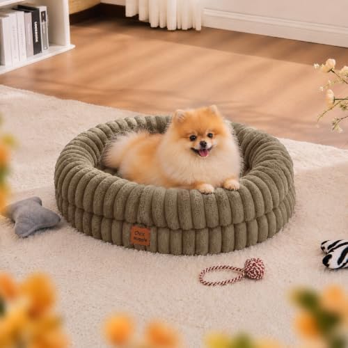 ChiXnuggle Orthopedic Dog Bed, Washable Cover, Faux Fur Bolster Pet Couch
