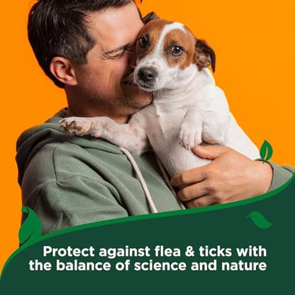 Vet's Best Flea & Tick Shampoo for Dogs, Cotton Spice, 12 oz