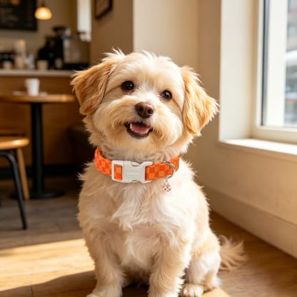 DOGWONG Autumn Plaid Dog Collar, Orange Checked Cute Girl Dog Collar,Orange Plaid Dogs Collars for X-Small Puppies Dogs, Neck 8-12 inches