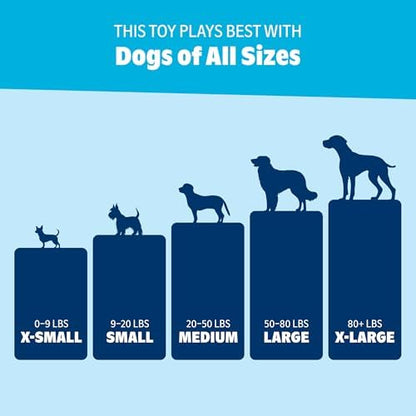 BarkBox Play Hatch Rubber Tennis Balls - for Dogs