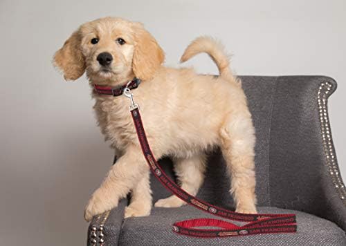 Pets First NFL Pets NFL