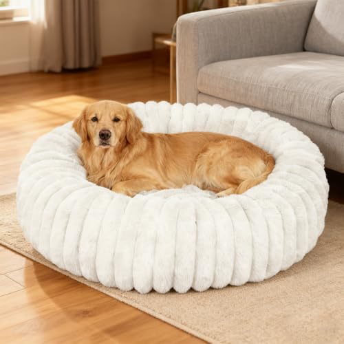 Washable Extra Large Dog Bed,Puppy Kitten Beds for Small Dogs(White,XXL)