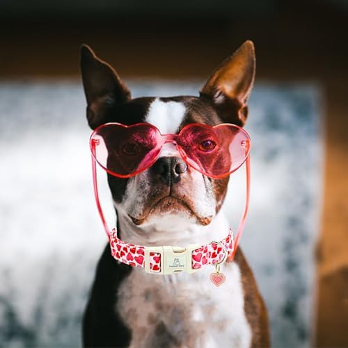 Lionheart glory Valentine's Day Collar, Red Hearts Dog Collar for Medium Cute Dog Collars Spring Female Pet Gift Adjustable Heavy-Duty Holiday Dog Collar Plastic Buckle