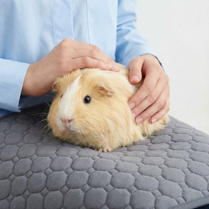 Guinea Pig Cage Liner, 59"x31" Bedding for C&C 2x4 Cage 2 Pack, Green