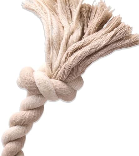 Pet Passion Natural Rubber Tire and Organic Cotton Rope Pull and Chew Dog Toy for All Pet Breeds, Almond Milk, Small