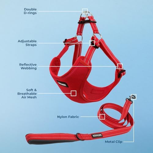 Best Pet Supplies Voyager Adjustable Step-in Flex Breathable Mesh Dog Harness for Small Medium Large Dogs Leash Set (Red), L