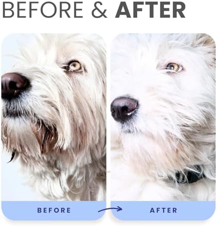 Lillian Ruff PRO Formula Berry Blue Brightening Dog Shampoo & Conditioner Set - Professional Show-Quality Whitening, Stain & Odor Eliminator, Hydrating Relief for Dry Skin, ProVitamin B5, USA Made