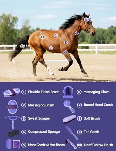 11-Piece Horse Grooming Kit with Waterproof Tote Sugar Taro