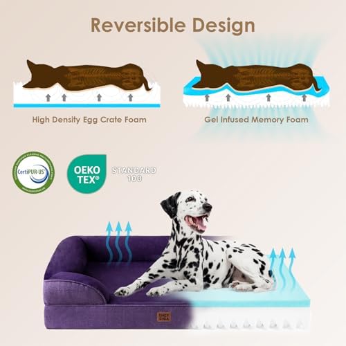 EHEYCIGA Orthopedic Dog Bed Medium Size Dog, Waterproof Washable Pet Beds