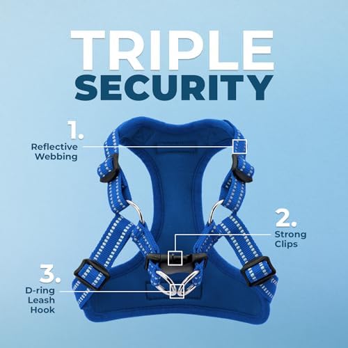 Voyager Step-in Flex Adjustable Dog Harness - Royal Blue, Large