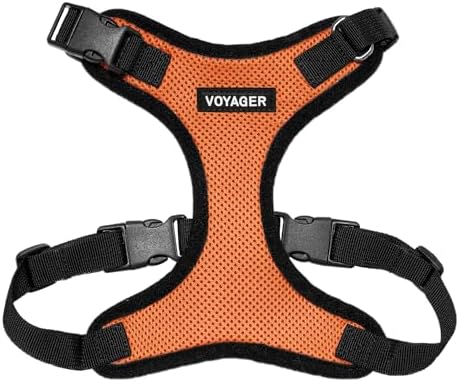 Voyager Step-in Lock Dog Harness - Orange/Black Trim, X-Large