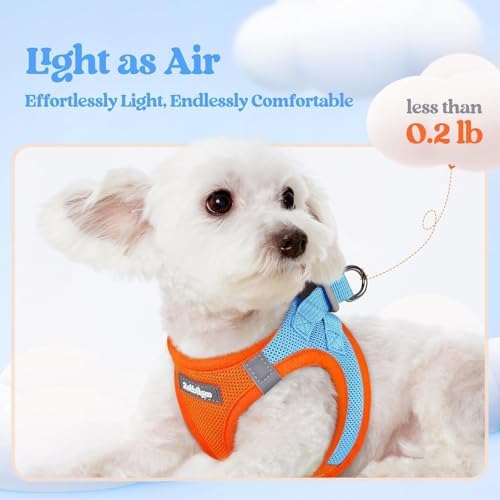 rabbitgoo Dog Harness Small Sized and Leash Set, Step-in Puppy Pet Vest