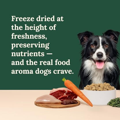 360 Pet Nutrition Freeze-Dried Raw Dog Food – Multi-Protein with Beef, Chicken, Fish, Liver & Organs, High Protein Omega-3s Fruits Veggies & Superfoods Grain-Free, No Fillers, 4 x 5 oz – Made in USA