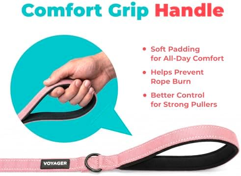 Best Pet Supplies Voyager Nylon Dog Leash - Pink, Small