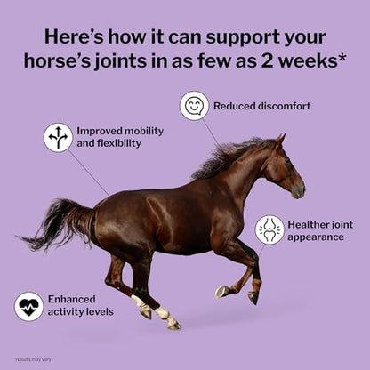 Formula 707 Joint 6in1 Fresh Packs for Horses, 28-Day Supply