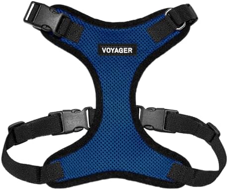 Voyager Step-in Lock Dog Harness - Royal Blue/Black Trim, X-Small